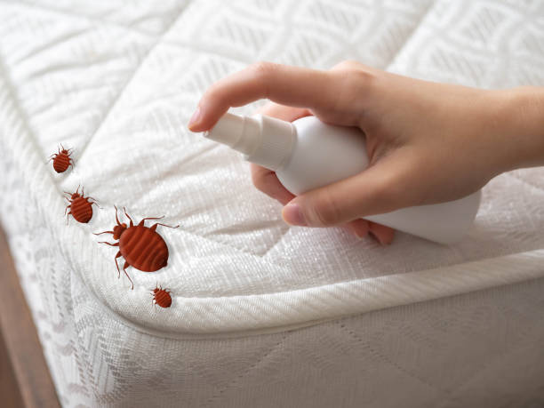 Best Pest Control for Hotels  in Rock Island, IL